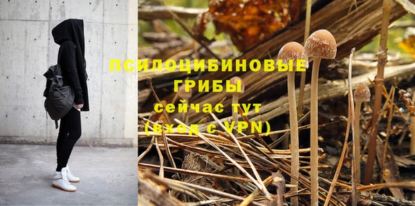 эйфоретик Алексин