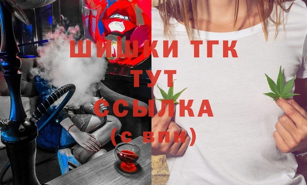 дмт Алзамай