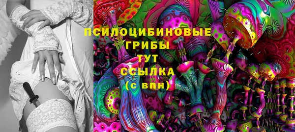эйфоретик Алексин