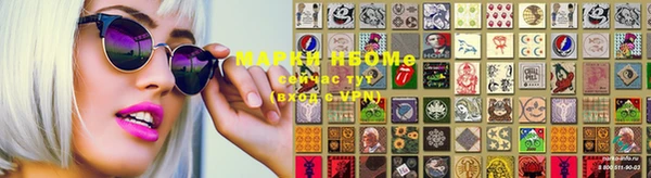 гашик Вуктыл