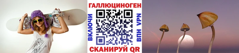 Псилоцибиновые грибы мицелий Кирсанов